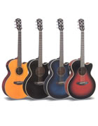 Clicca per ingrandire