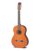 Clicca per ingrandire