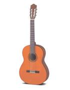 Clicca per ingrandire